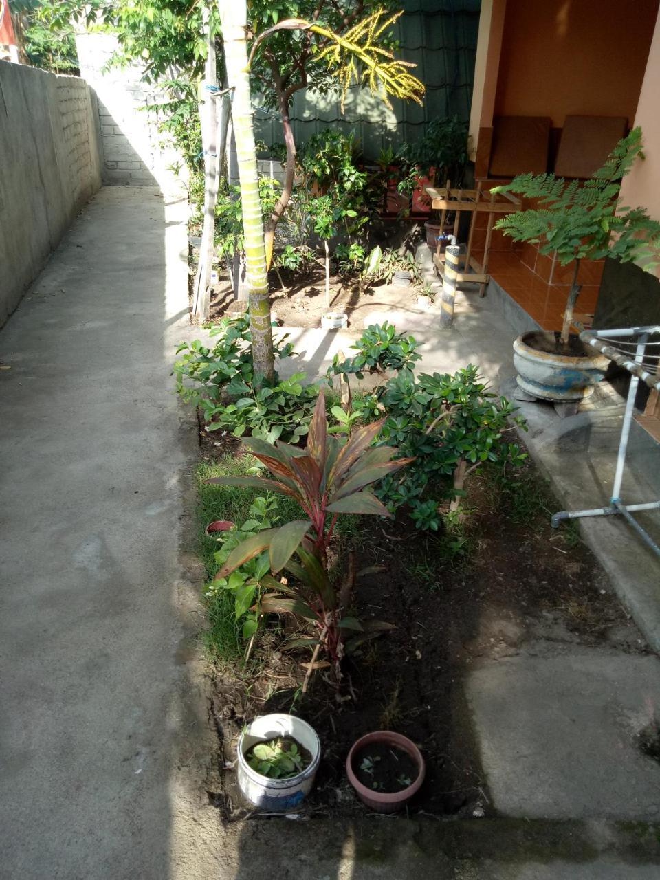 Aladdin Homestay Gili Air Exterior foto